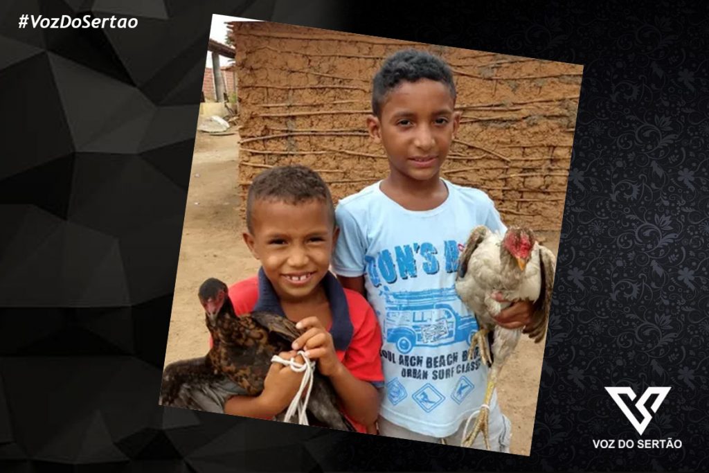 Crianças que pediram galinhas a Papai Noel para terem o que comer ganham um ano de fornecimento grátis de ovo
