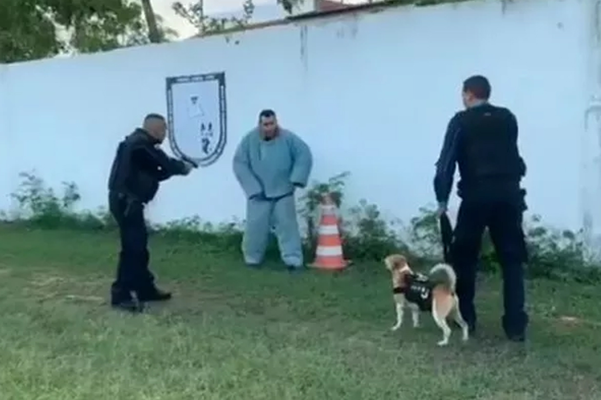 Cachorro adotado por batalhão da PM recebe treinamento no CPCães para atuar na segurança de Fortaleza