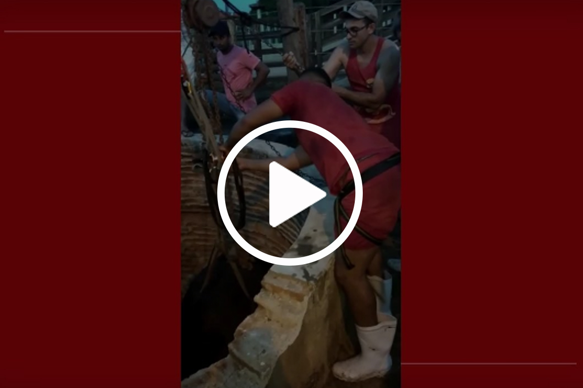 Vaca de meia tonelada cai em poço de 15 metros e é resgatada pelos bombeiros no Ceará; vídeo