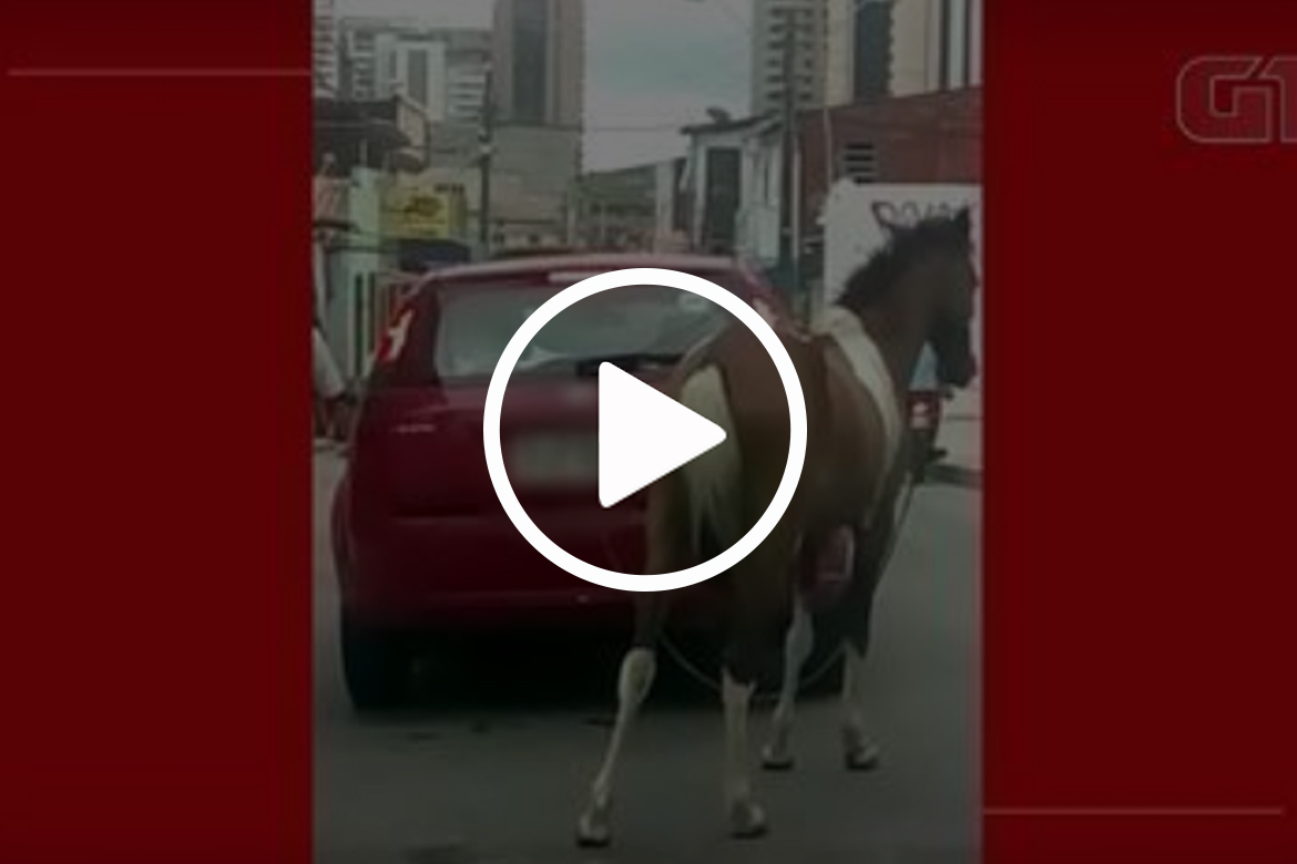 Cavalo é puxado por carro com uma corda presa ao pescoço; vídeo
