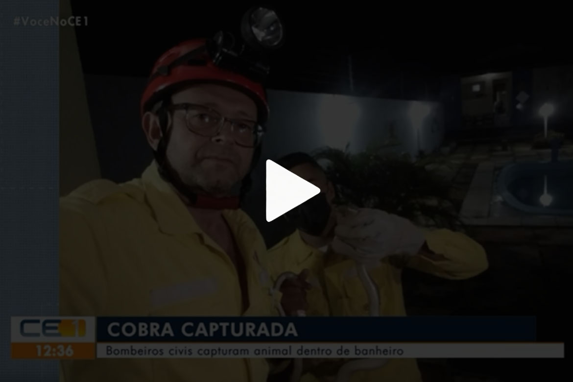 Bombeiros Civis de Poranga capturam cobra dentro de banheiro