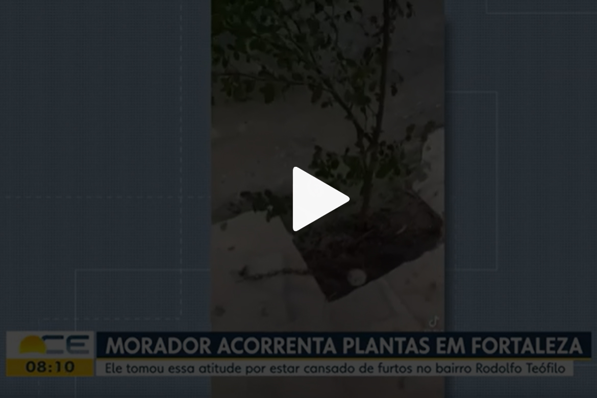 Para evitar os roubos, homem acorrenta as plantas na calçada de casa