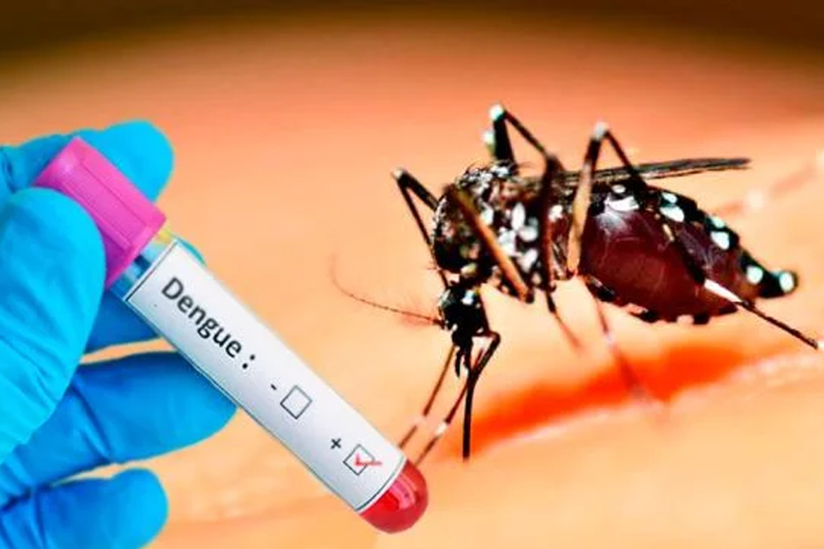 Casos prováveis de dengue se aproximam de 400 mil no país em 2024