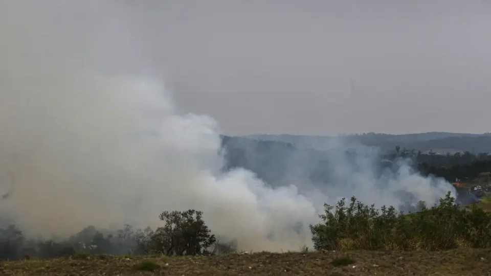 80% coemçaram em áreas de uso agropecuário, diz Ipam