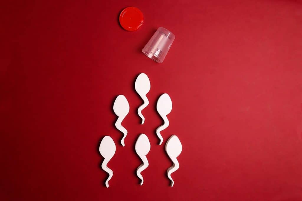 Estudo descobre como o HPV afeta a fertilidade masculina