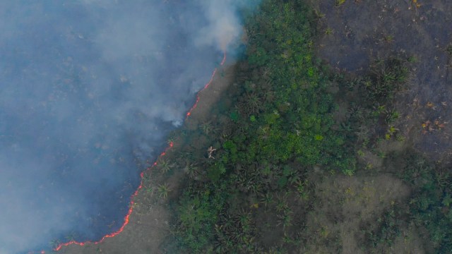 Investigações sobre "Dia do Fogo" na Amazônia não identificaram culpados