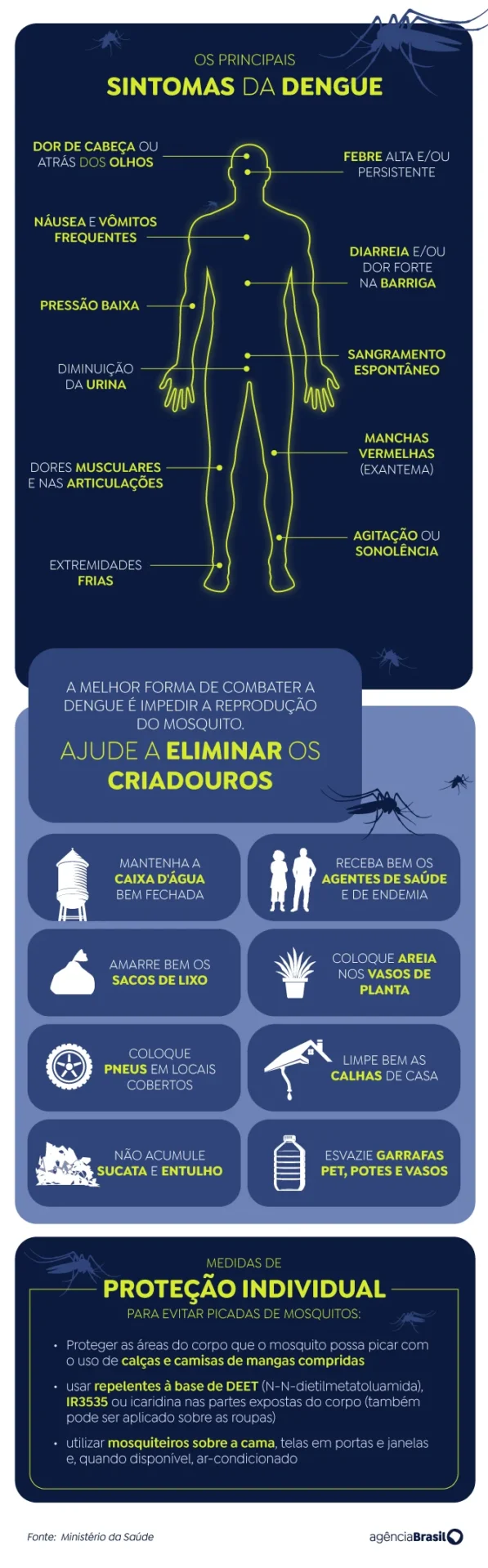 Mosquito é o animal que mais mata no mundo; veja os cuidados