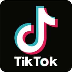 Você terá mais controle sobre o que o algoritmo do TikTok te recomenda
