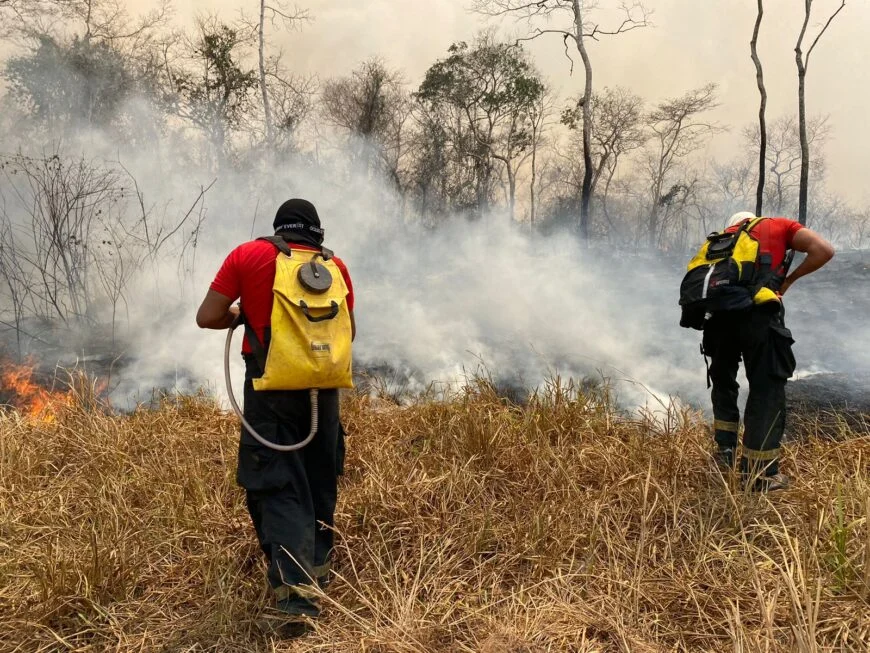 Brasil já registrou mais de 154 mil focos de calor este ano