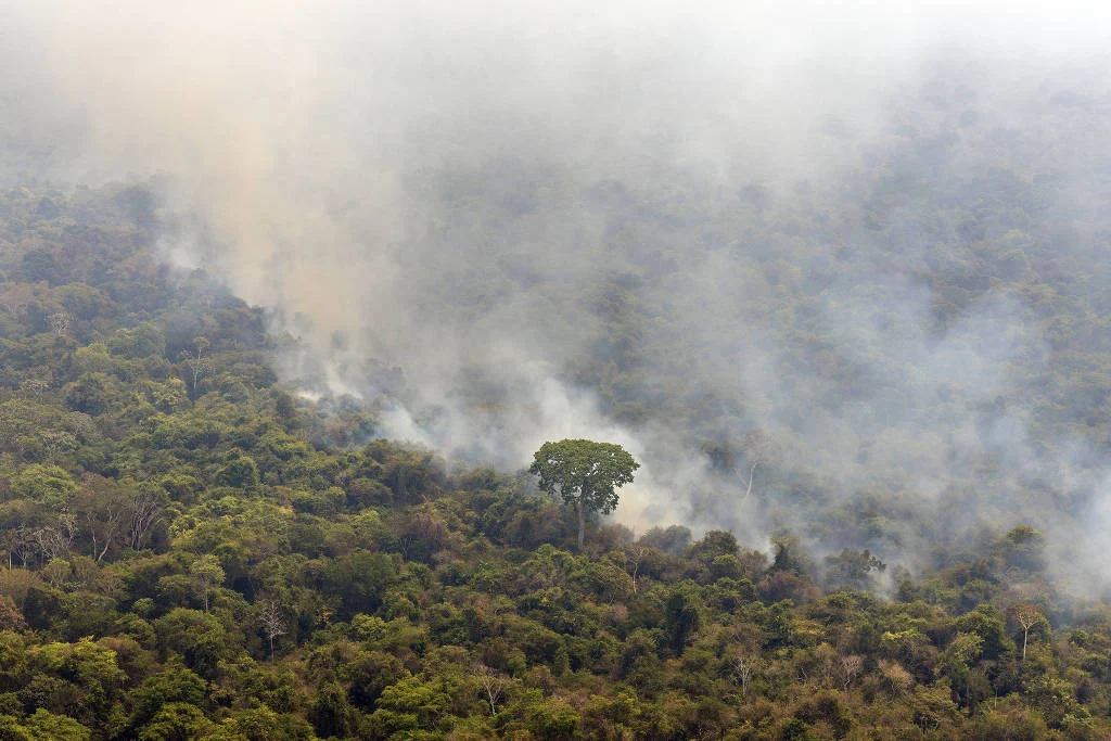 Brasil já tem mais focos de incêndio em 2024 do que em todo o ano passado