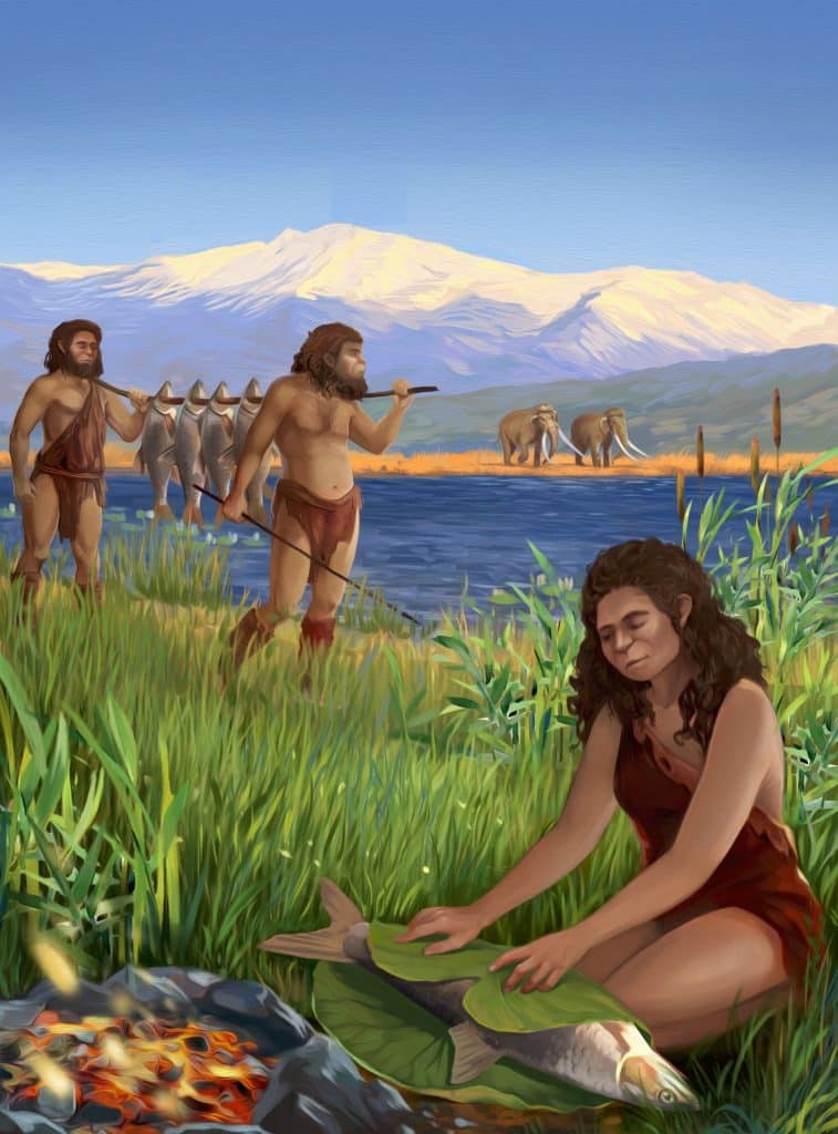Como a Teoria da Savana explica o comportamento humano?
