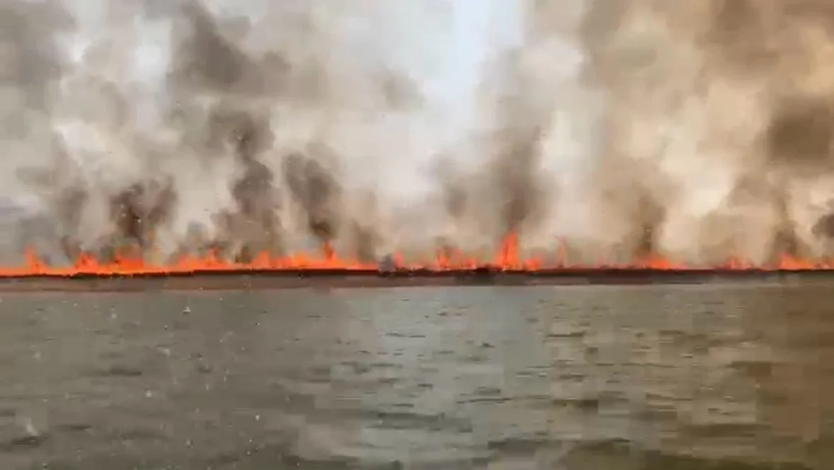 Delegado da PF diz que há indícios de ação coordenada em incêndios