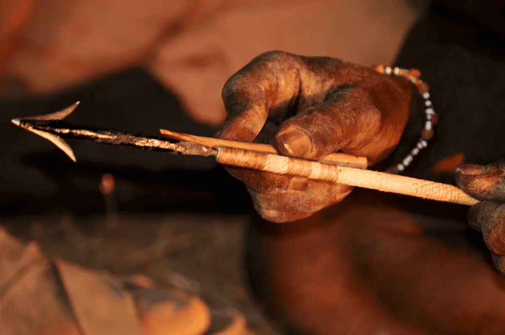 Flechas venenosas teriam sido usadas há mais de 50 mil anos