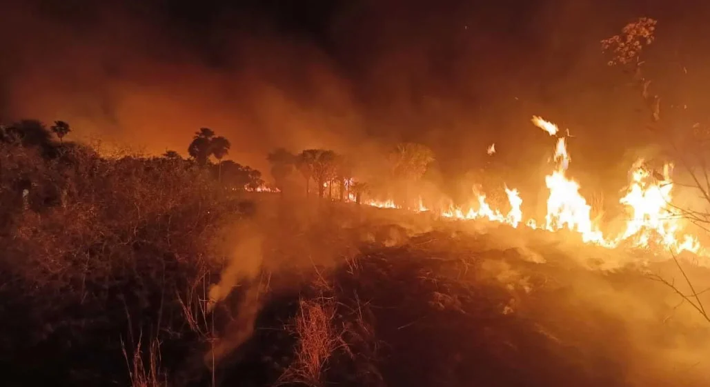 Incêndio destrói cerca de 10 mil hectares na Chapada dos Veadeiros