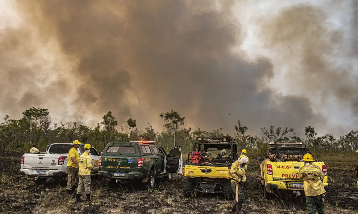 Incêndios: Marina Silva defende endurecimento da pena por fogo intencional
