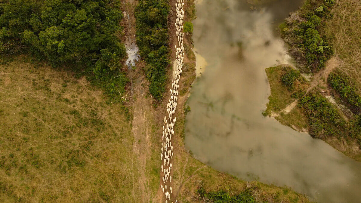 Judiciário de RO condena ações de desmatamento em reserva da Amazônia