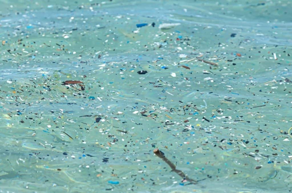 Microplásticos podem gerar danos ambientais irreversíveis