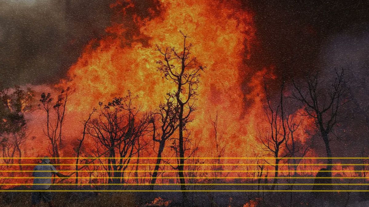 Plano Climático do DF ignora questões como queimadas e incêndios