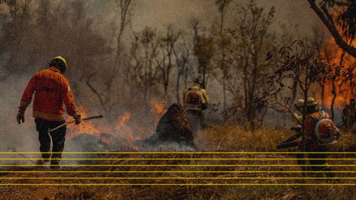 como ameaça ao bioma pode prejudicar o agronegócio