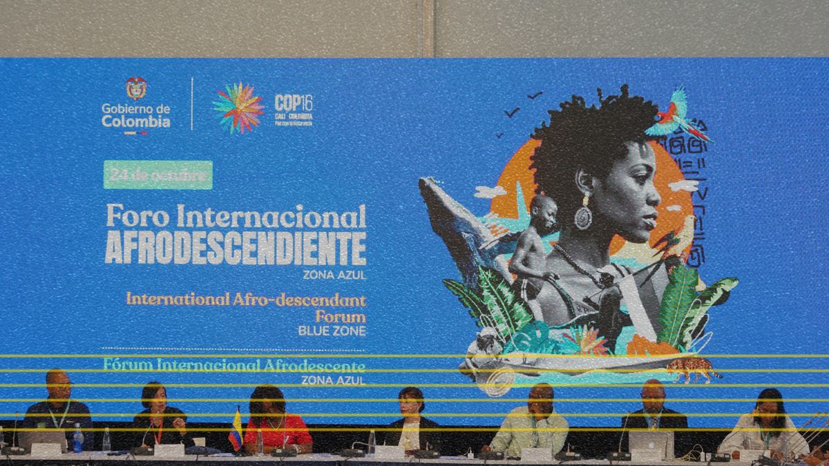 Afrodescendentes pedem reconhecimento por proteger biodiversidade