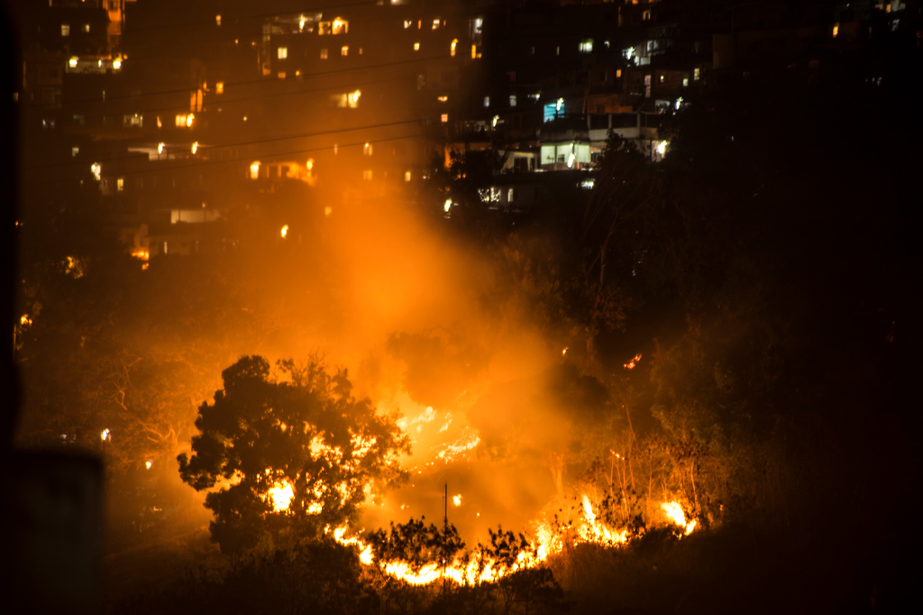 Ao destroçar a mata nativa, o agronegócio cava a...