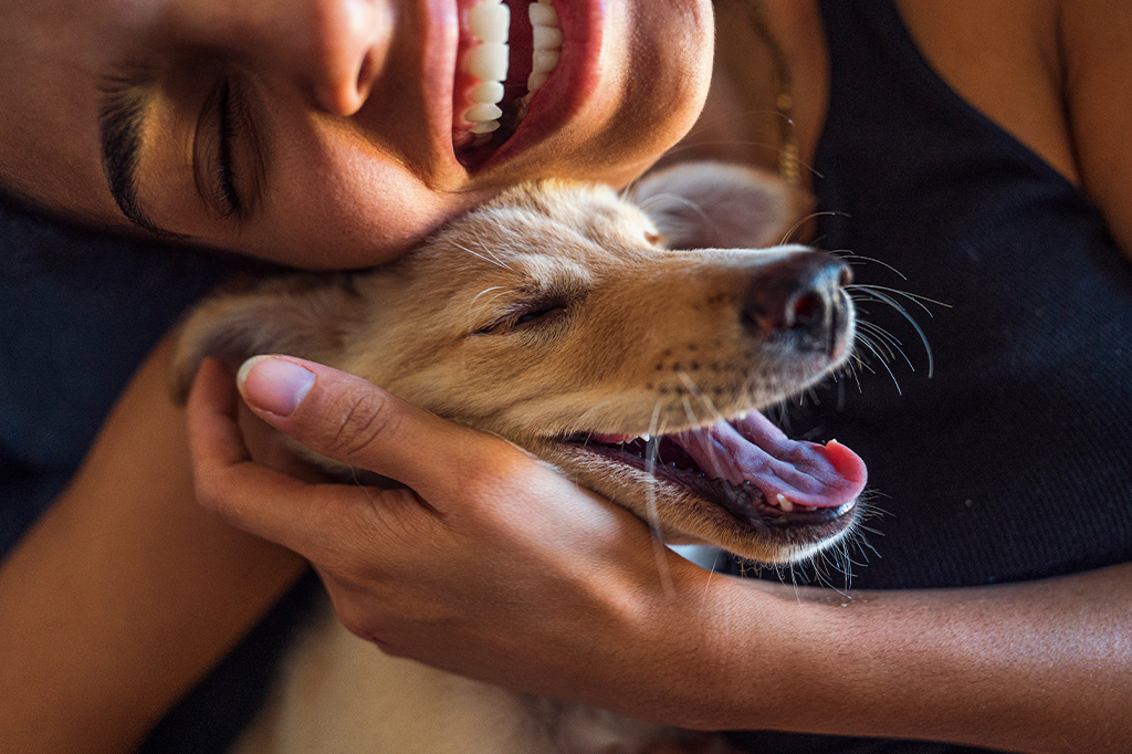 Como fazer seu cachorro feliz? Confira 5 dicas da...