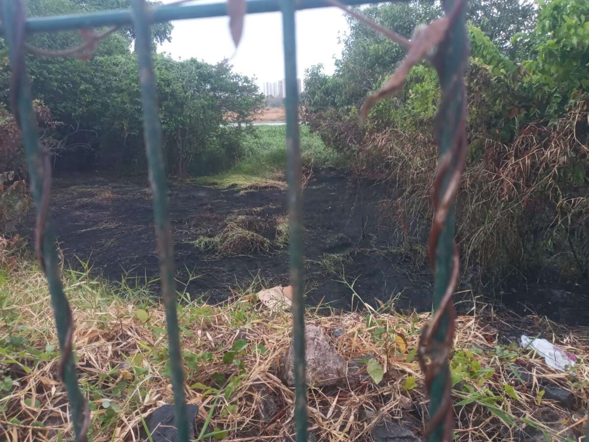 Corpo de Bombeiros apaga incêndio em vegetação na Aerolândia