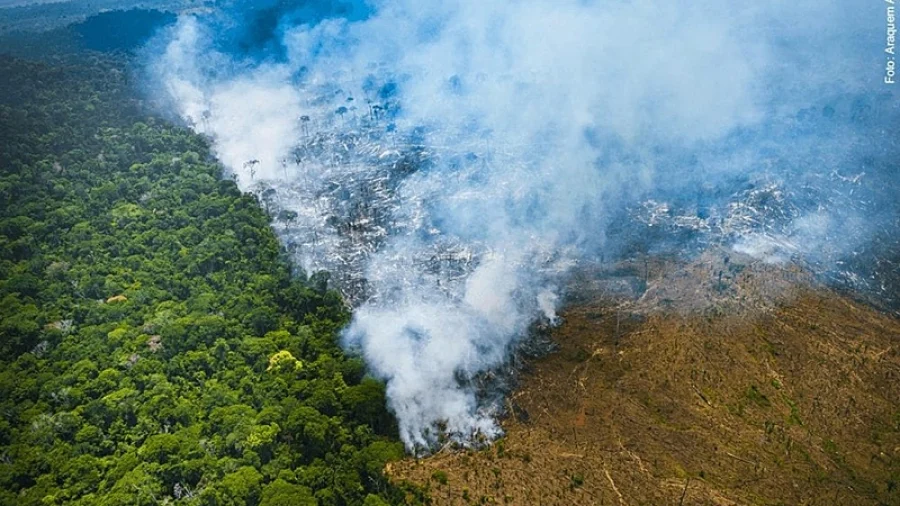 Crimes ambientais na Amazônia Legal aumentam 88%, diz PRF