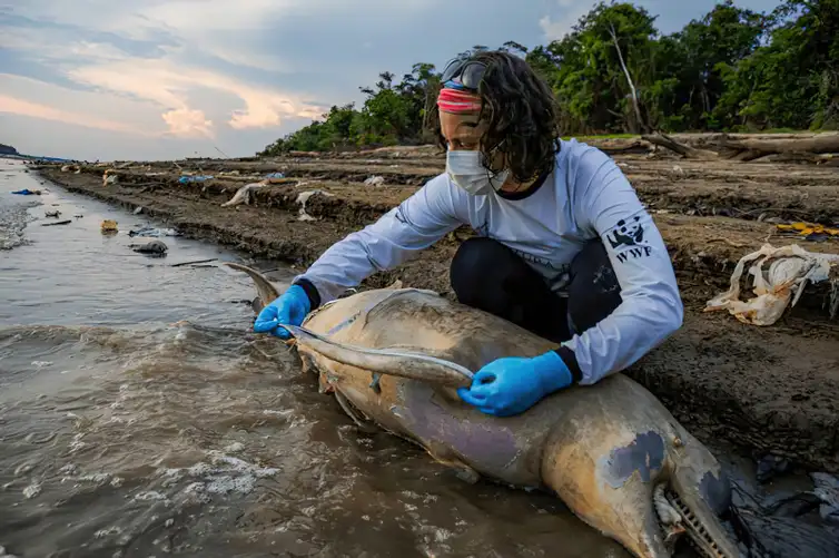 Lagos na Amazônia registram maior média de temperatura para agosto