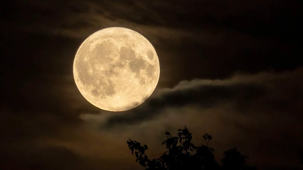 Maior superlua do ano pode ser vista hoje (17)