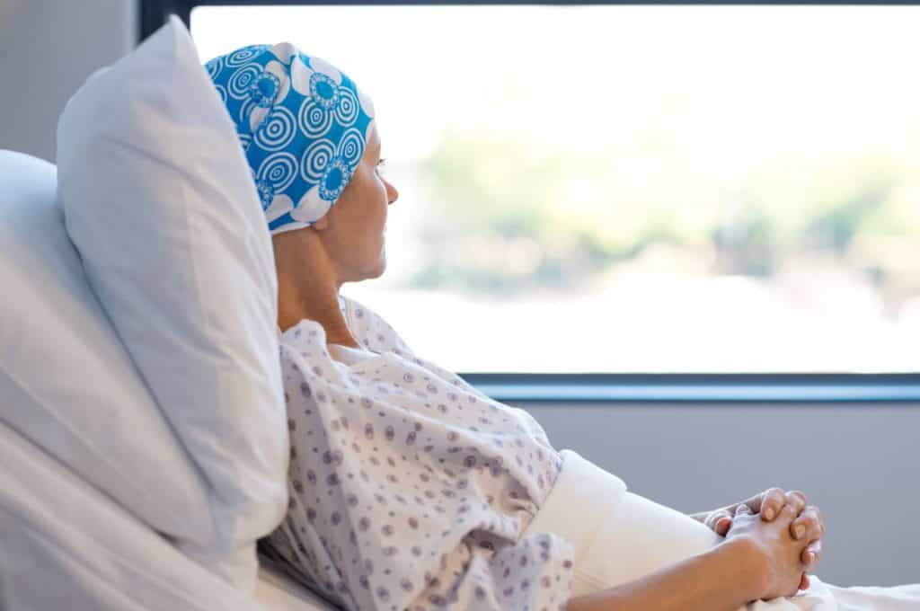 Novo tratamento de leucemia pode passar por aranha assustadora