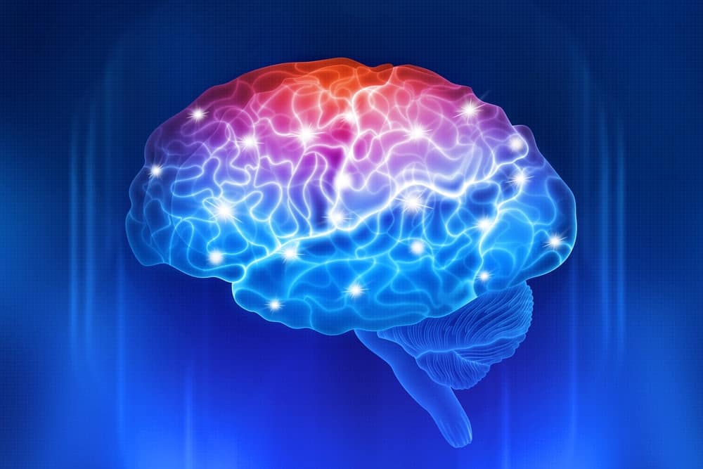 O que é magnetogenética e como ela é usada para "controlar mentes"?