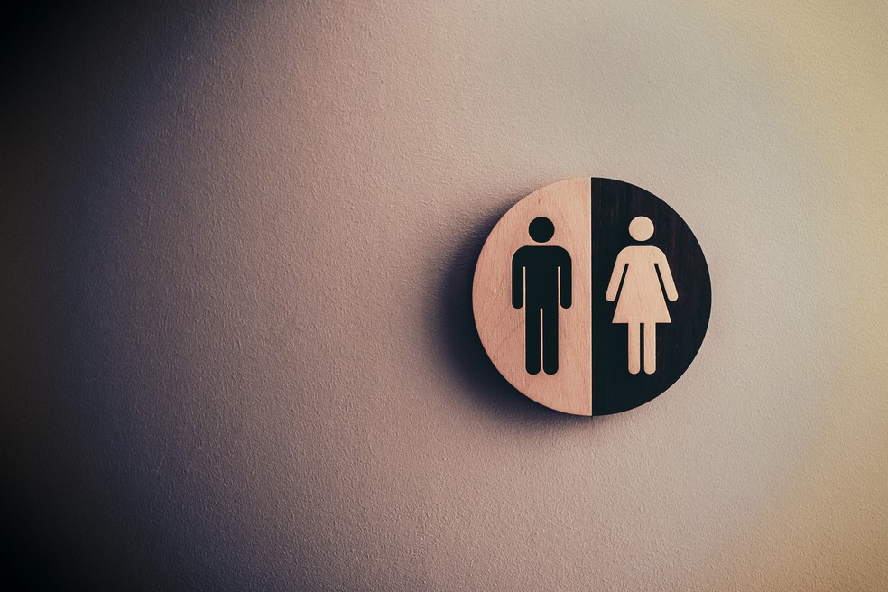 SUS deve adaptar sistemas para incluir pessoas trans e travestis nas políticas de saúde, decide STF | Brasil