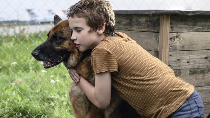 Sessão da Tarde hoje: veja qual filme a TV Globo exibe nesta quinta-feira, 31 - Zoeira