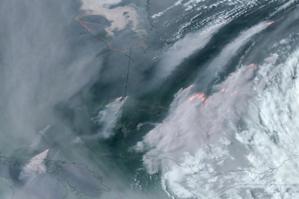 Emissões de carbono de incêndios florestais no mundo aumentaram 60% em 20 anos | Mundo