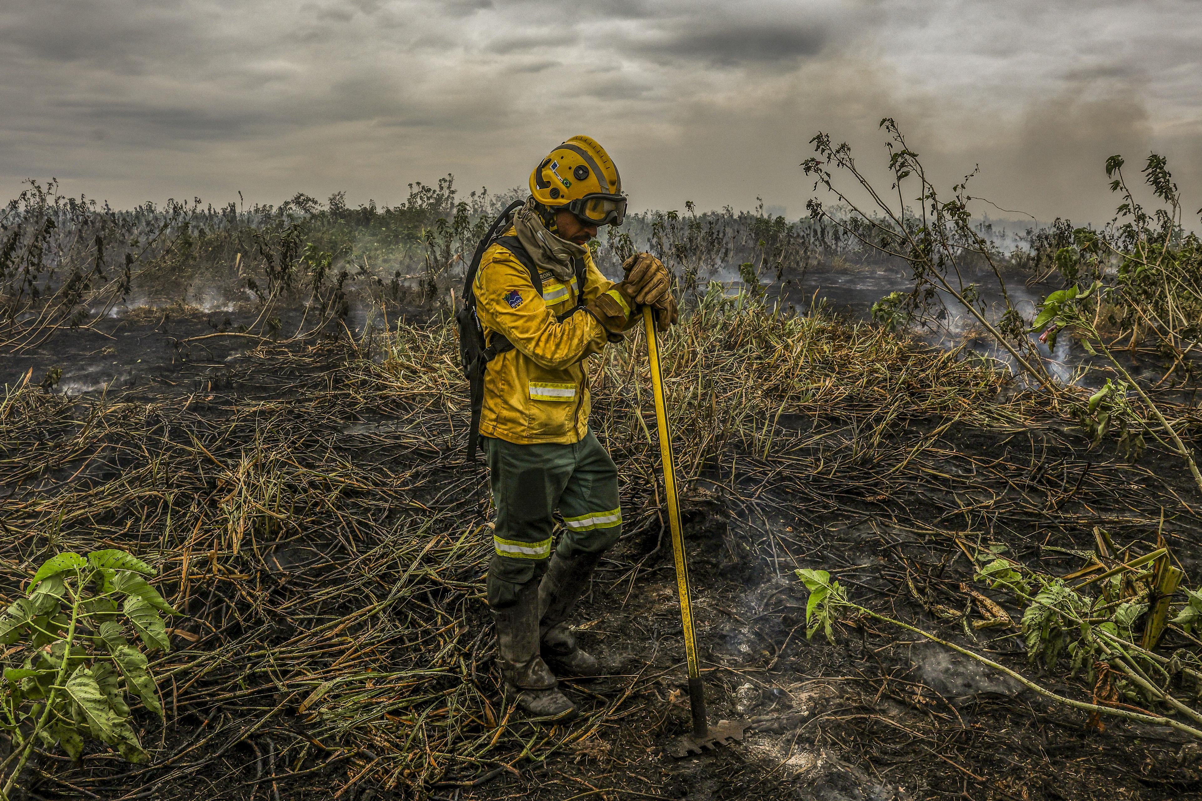 TST: Brigadista tem direito a adicional por risco na prevenção de incêndios