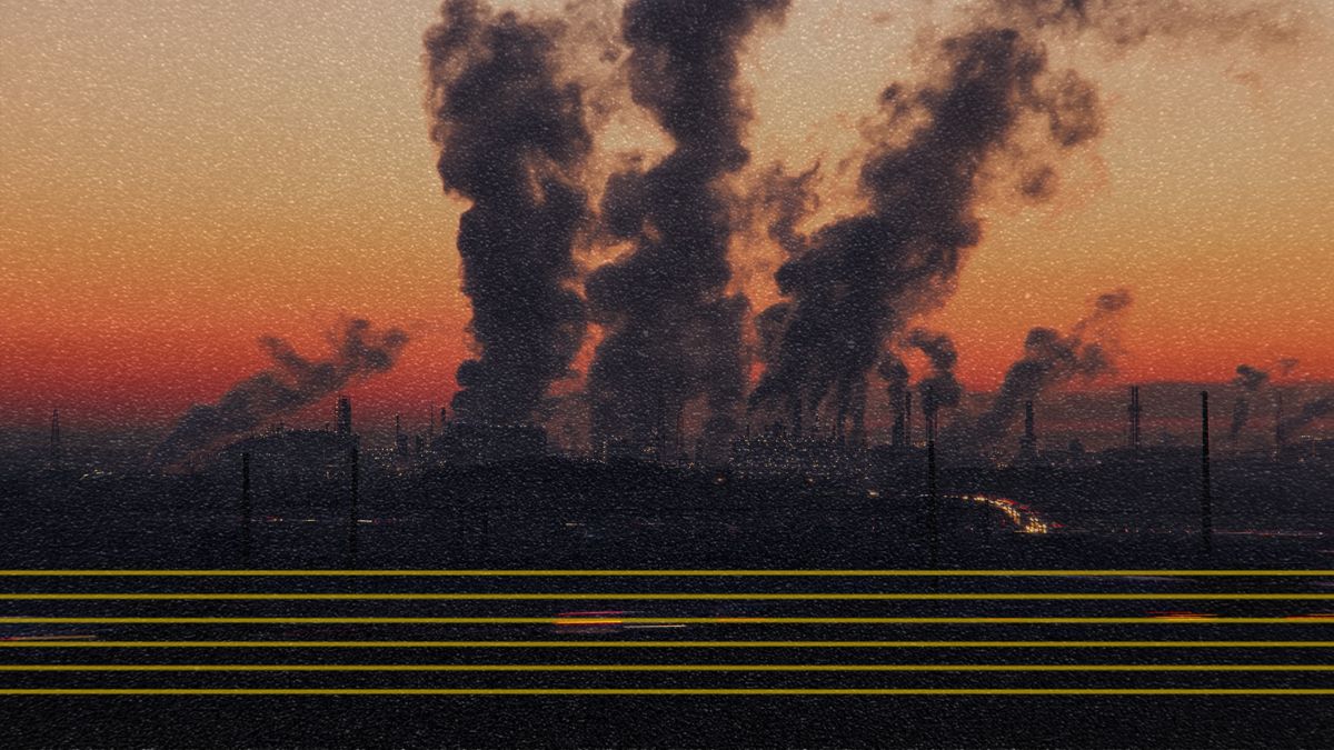 como seu retorno poderia reduzir impactos ambientais