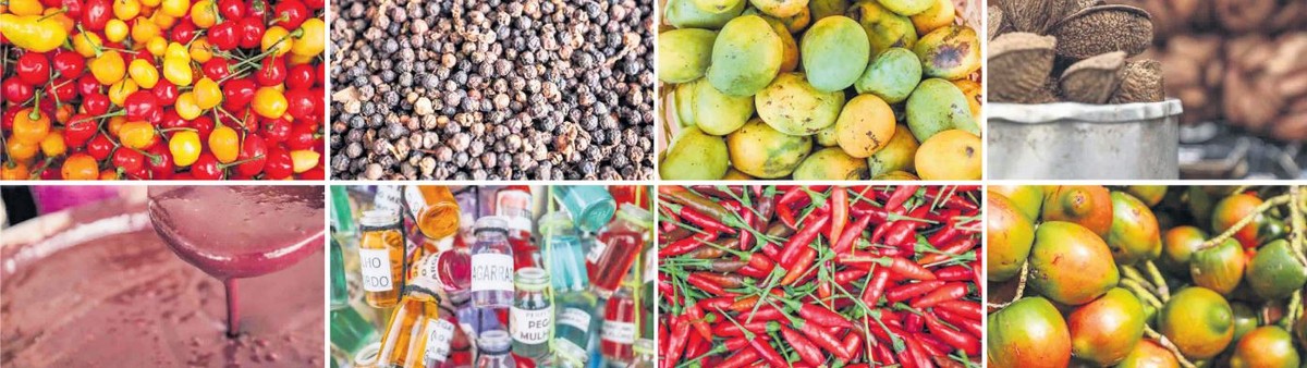 Grupo defende que menu da COP de Belém seja composto de produtos agroecológicos locais | Brasil