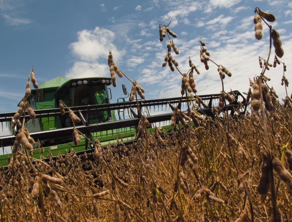 ‘Herança’ de 2024 e agro devem levar PIB a crescer 2,5% em 2025, diz Pine | Brasil