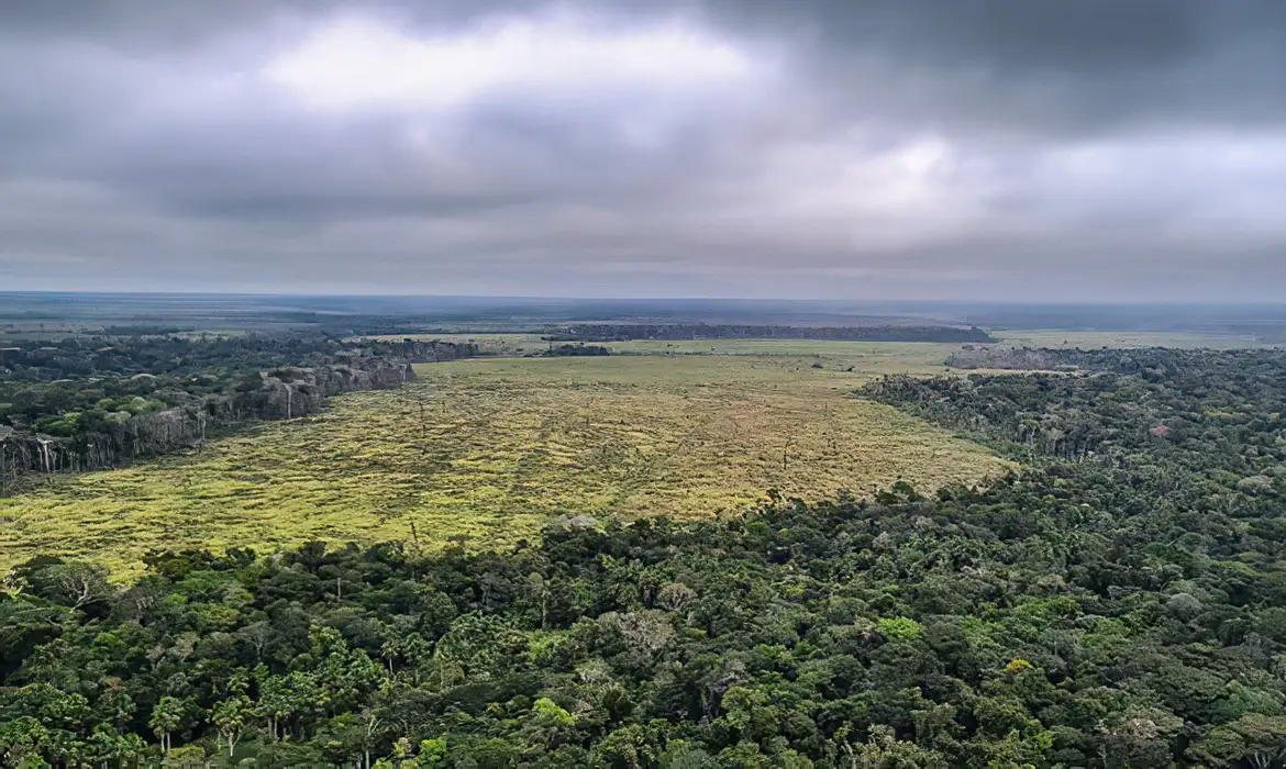 Brasileiros acham que economia pode ser devastada por eventos do clima