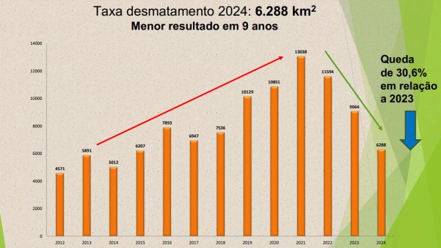 Cai desmatamento na Amazônia e Cerrado, apontam dados