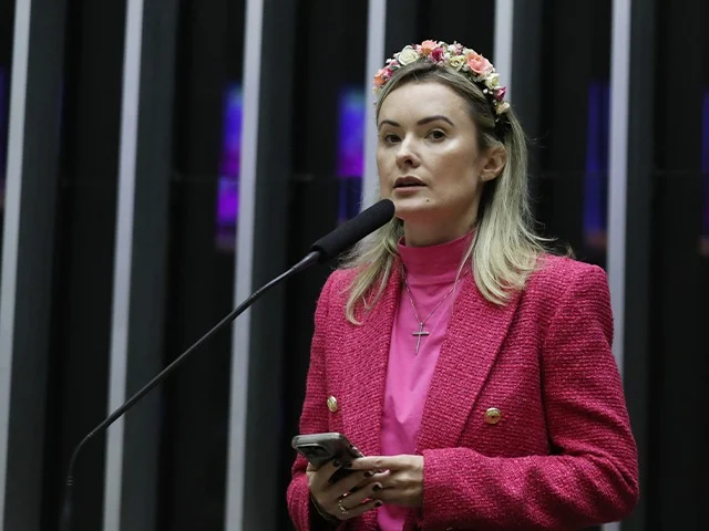 Deputada federal pelo PL perde ação contra jornalista de SC
