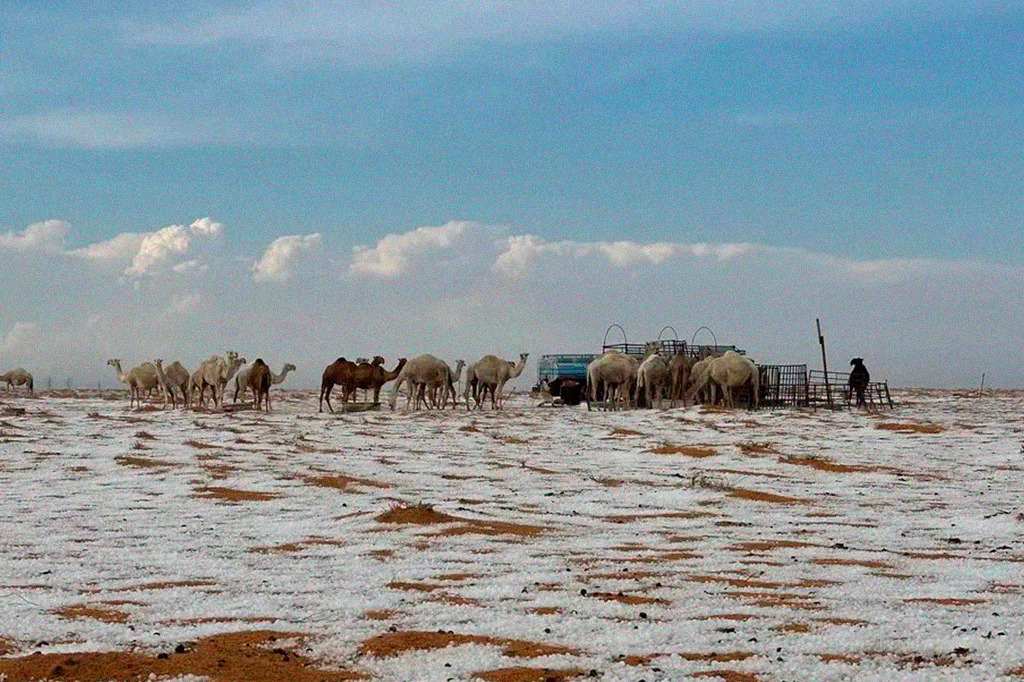 Deserto na Arábia Saudita recebe neve pela primei...