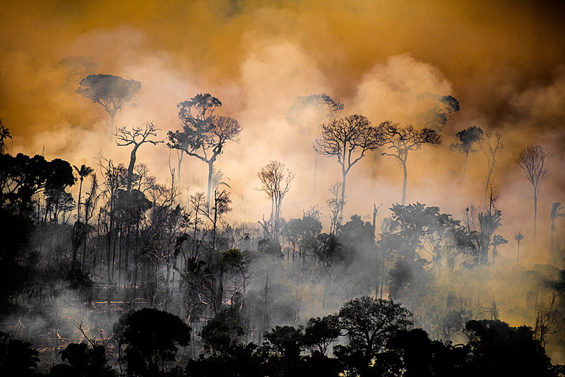 Entidades criticam nova meta climática brasileira