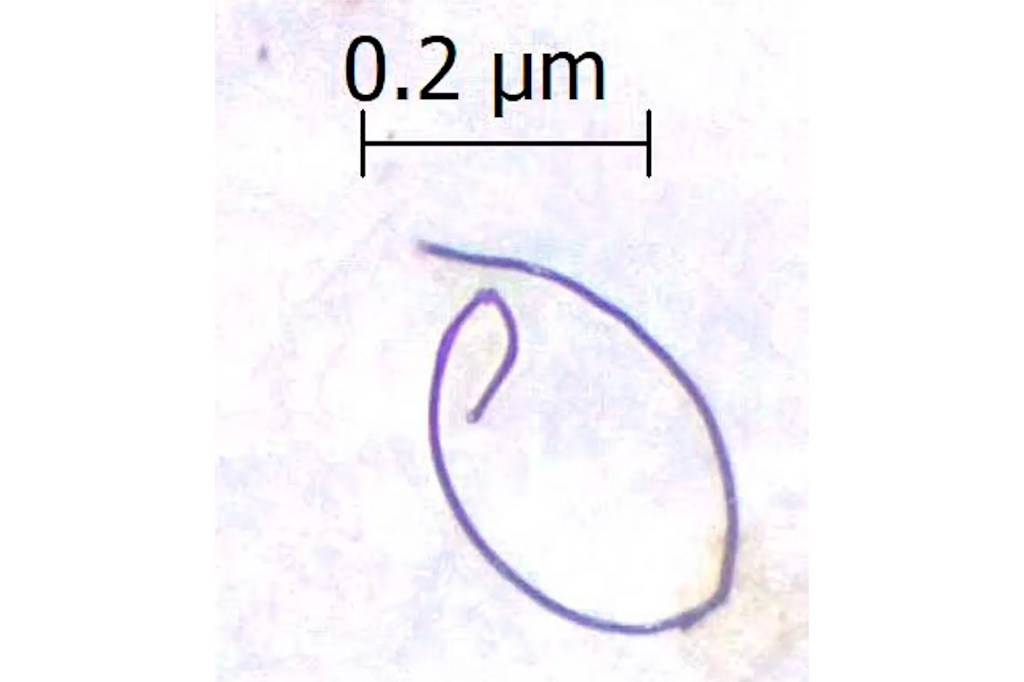 Estudo descobre que microplástico é respirado até...