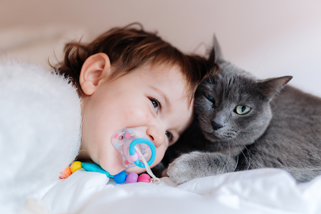 Gatos entendem palavras melhor que bebês humanos...
