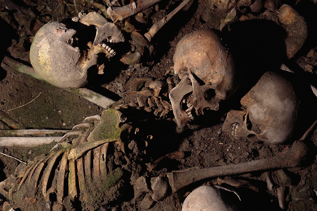 Neandertais e Homo sapiens enterravam os mortos d...