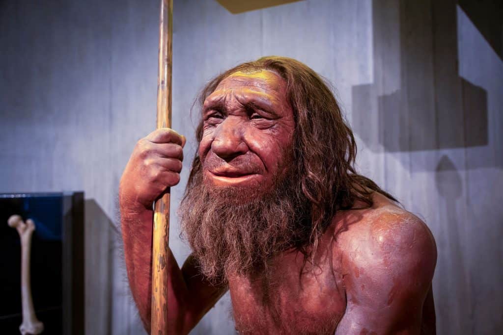 Neandertais ou Homo Sapiens: qual dos humanos é mais evoluído?