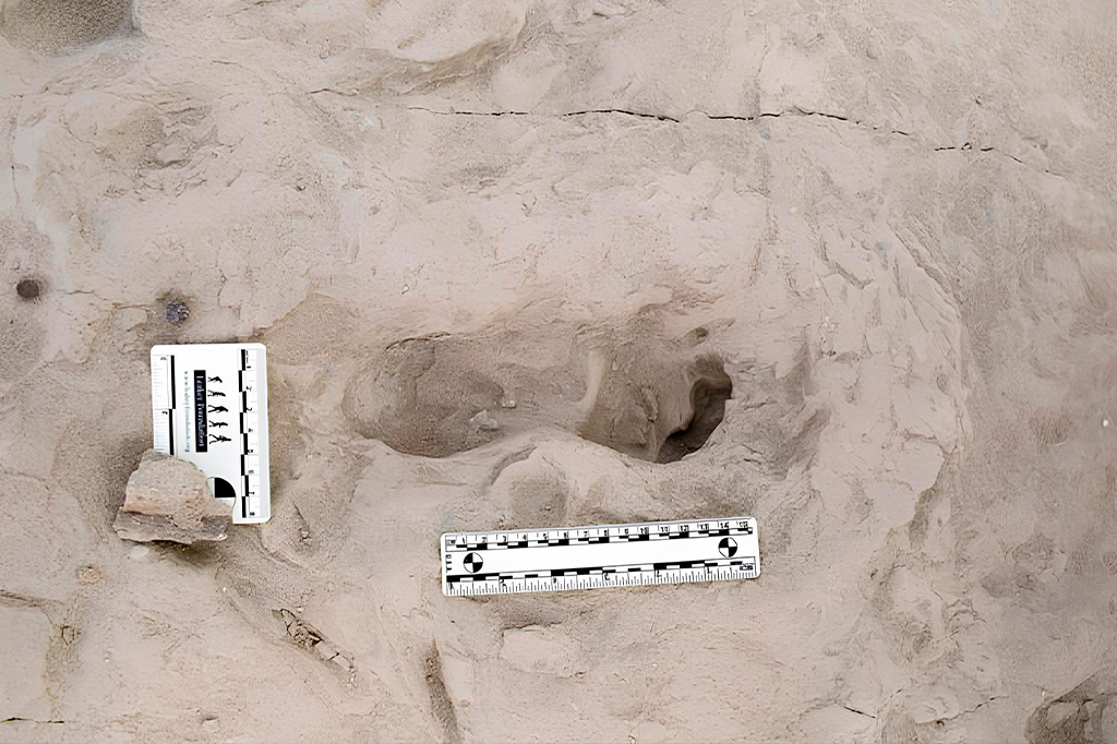 Pegadas revelam que espécies diferentes de hominí...