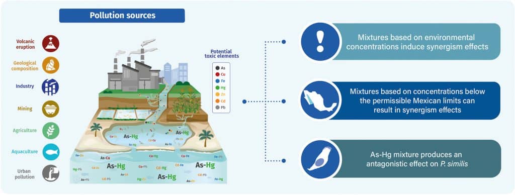 Poluição por metais gera efeitos tóxicos na vida marinha